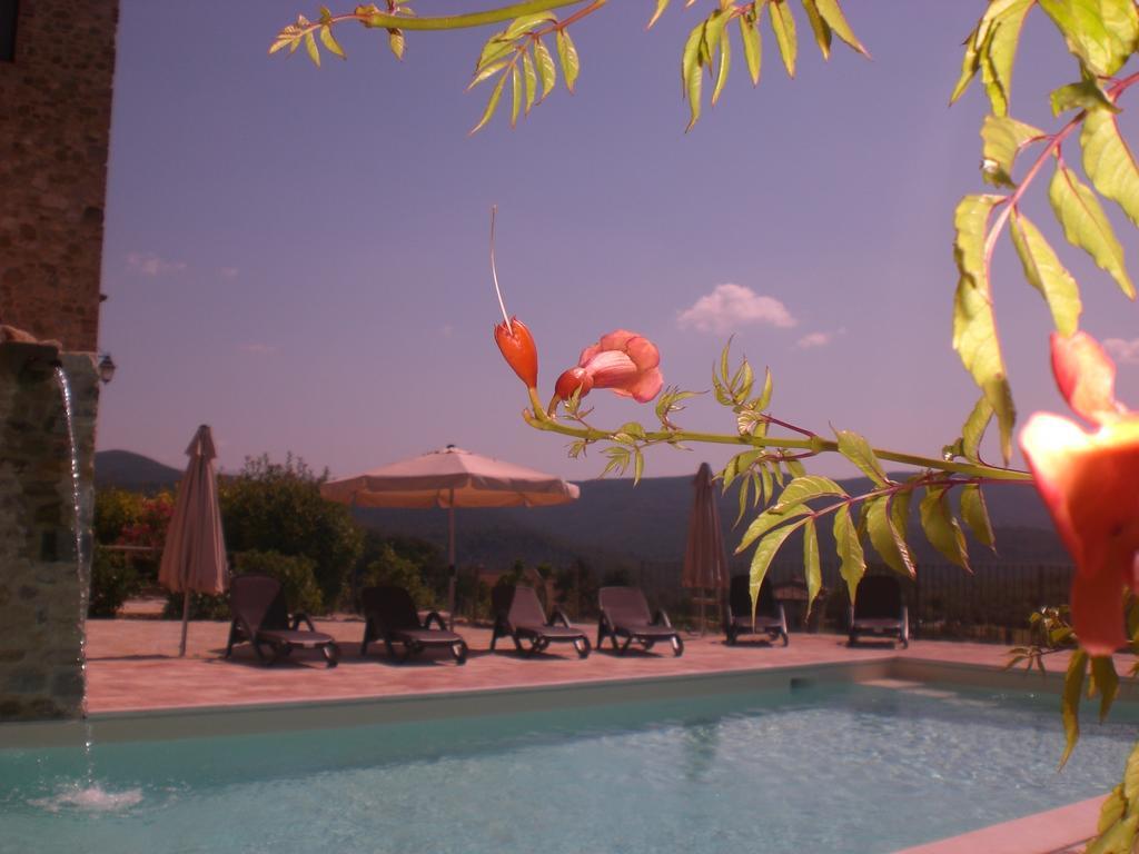 Bed and Breakfast La Locanda Del Colle Canalicchio Exterior foto